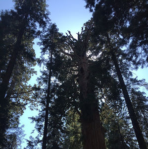 Meet your Posher, Yoselin